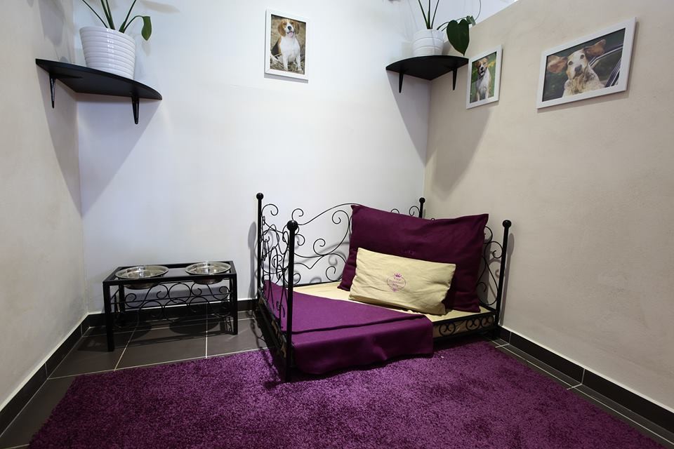 www.vip-pets.cz