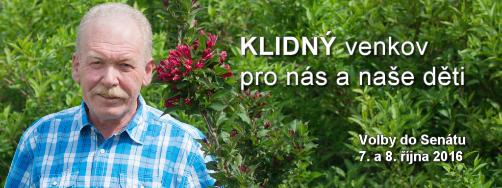 Bohumil Stibal, Hnutí ANO