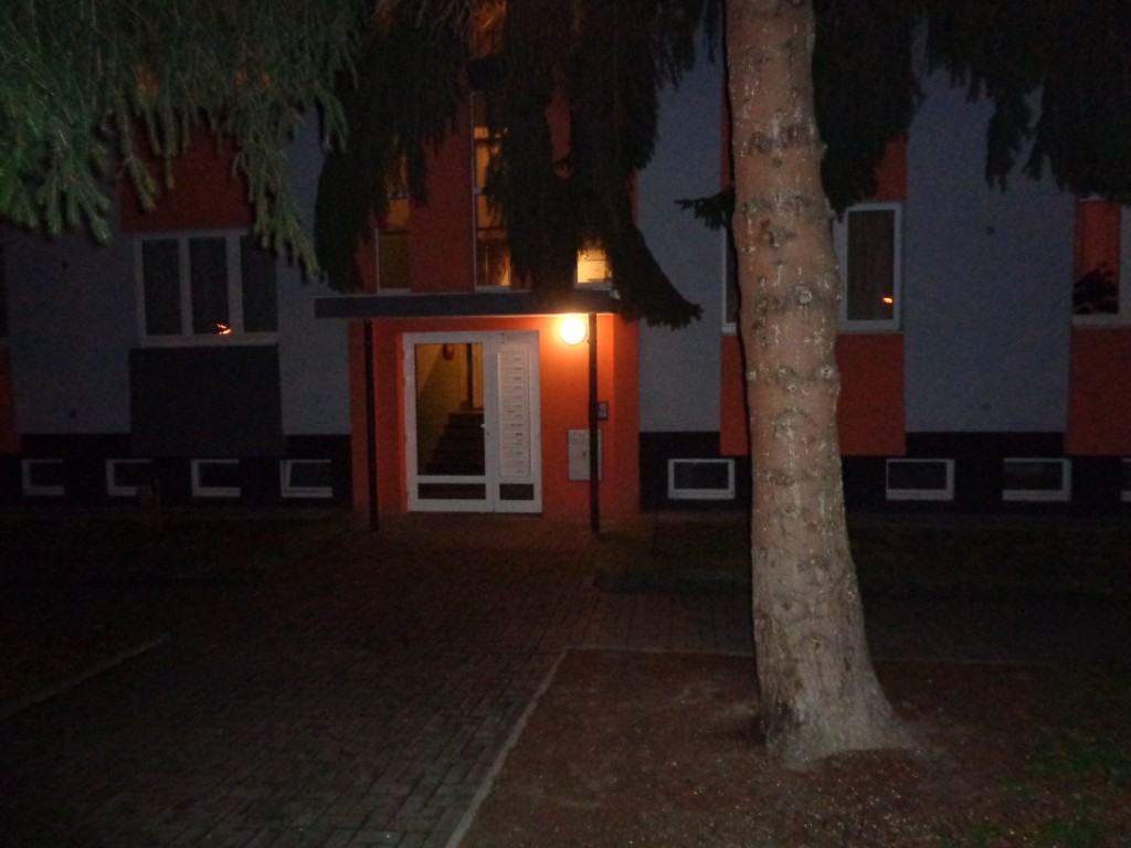 Vchod do domu Rumunská 1462/33, v popředí zbývající strom, který chtějí obyvatelé bránit