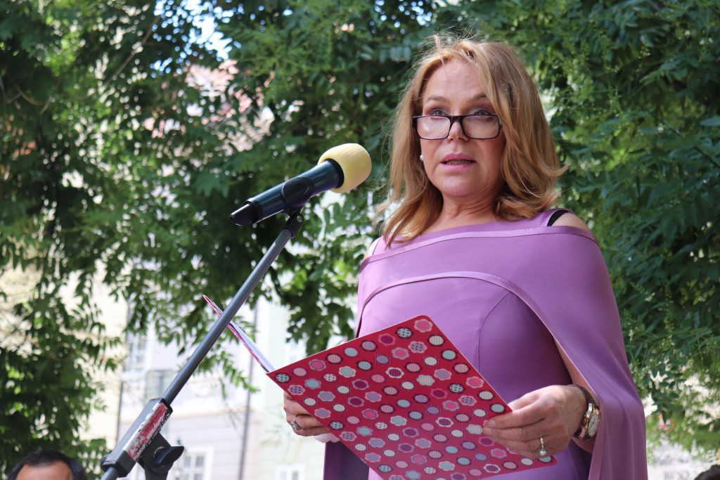havlova_dagmar_horakova | ČtiDoma.cz