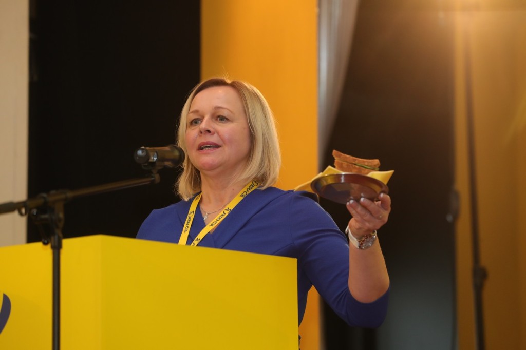 Od září 2011 je Šárka Jelínková ředitelkou obecně prospěšné společnosti Centrum pro seniory Zahrada v Bystřici pod Hostýnem