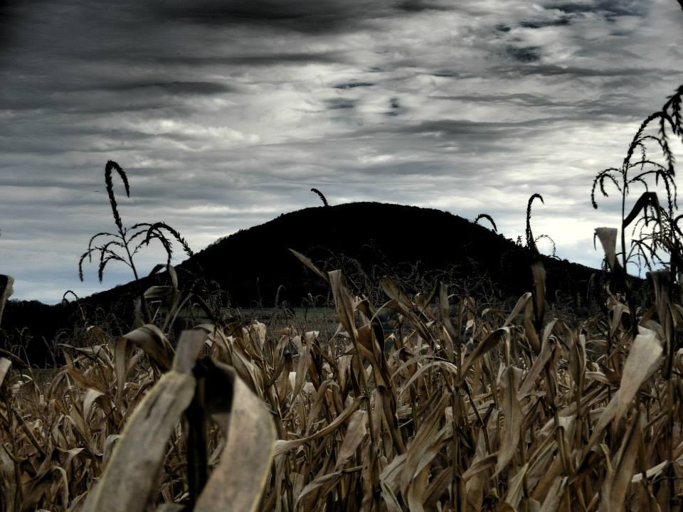 Z Řípu do Prahy poběíˇpojede téměř 150 párů; foto: Soňa Brunnerová
