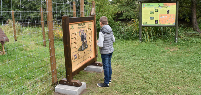 S přírodou se můžete potkat i ve městech. Nevěříte? Tak navštivte městské lesoparky