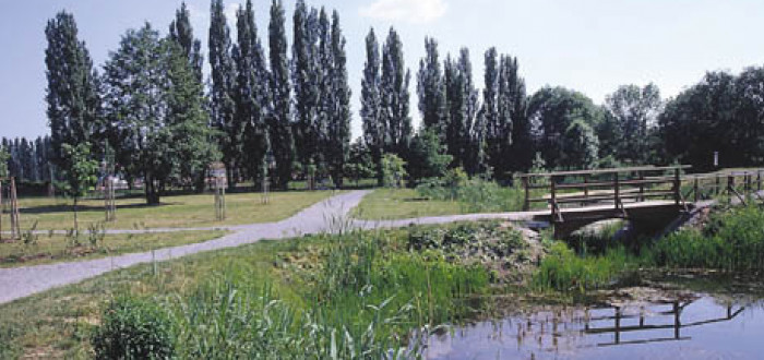 Park na Podolí si zaslouží péči