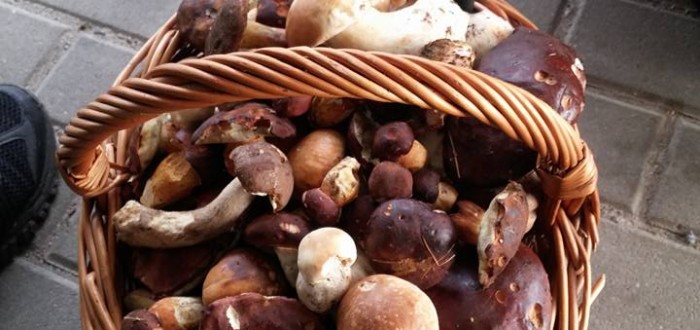 I taková úrodička může být osudná