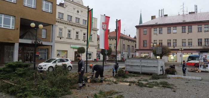 Náměstí Přemyslovců přichází o zeleň, budoucí vizualizace ale bude stát za to. Pokračujte ve fotogalerii
