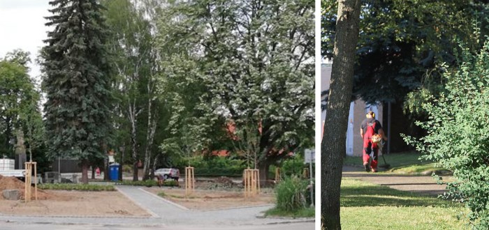 Zeleň ve Voticích prošla výraznou obměnou