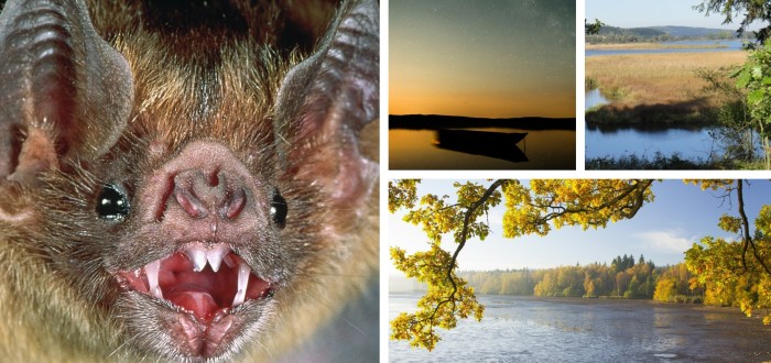 Padrťské rybníky patří k nejkrásnějším místům ve středočeských Brdech