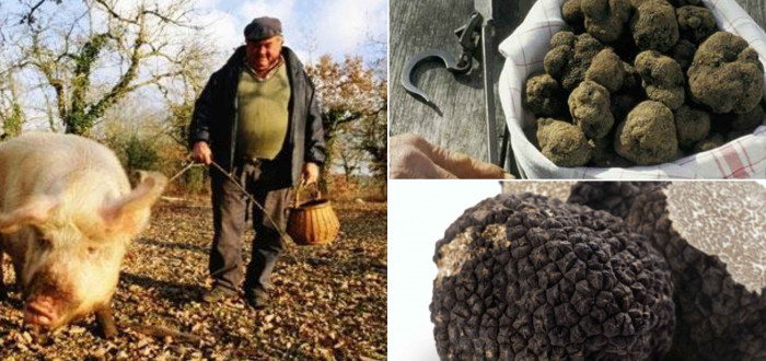 Lanýže konzumovali před několika staletími i naši předkové