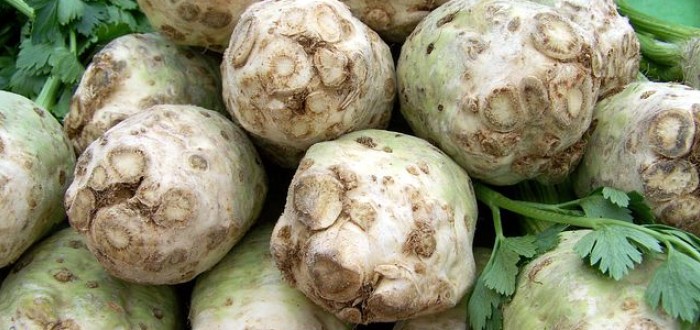 V říjnu je nejvyšší čas sklidit celer. Jak ho správně připravit, aby vydržel?