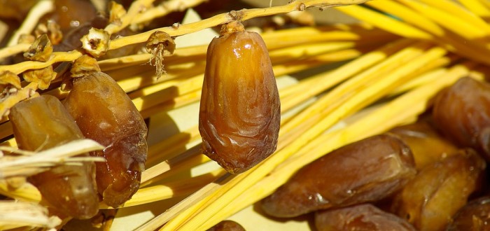 Datle jsou oblíbenou pochutinou, především v čase Vánoc