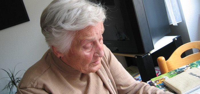 Důchodce potřebuje neustálou aktivitu, křížovky, hry, procvičování. Tak se dá účinně s demencí bojovat