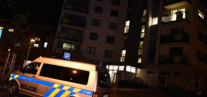 Policie dopadla pachatele velmi rychle. Svědkyně smrti byly převezeny do nemocnice