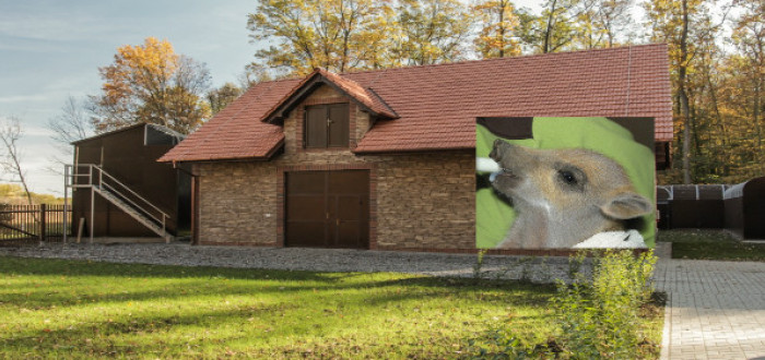 Jak se jim daří?