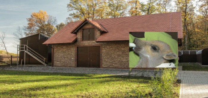 Jak se jim daří?