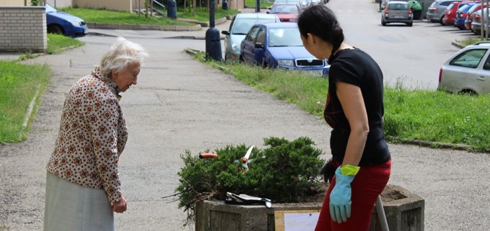 Přípravy na osázení květinářů u ulice Na Bezděkově