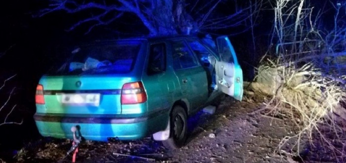 Auto ve stromě