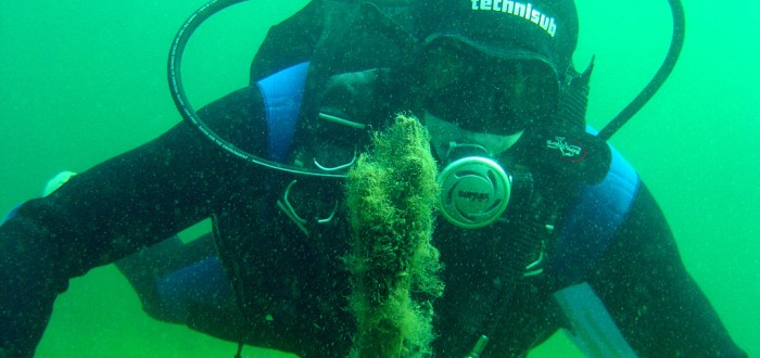 Berounští si jméno Triton vypůjčili od posla Boha moře z řecké mytologie