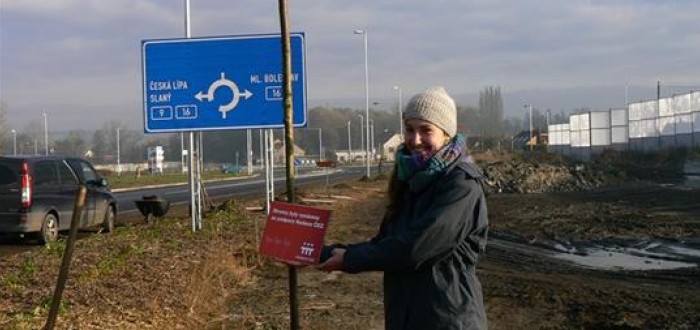 12 tenkých stromků má vytvořit izolaci od hluku