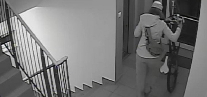 Pachatelka v domě řádila 7. září 2015, pokud ji poznáte, volejte Policii.