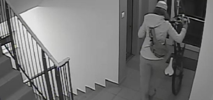 Pachatelka v domě řádila 7. září 2015, pokud ji poznáte, volejte Policii.