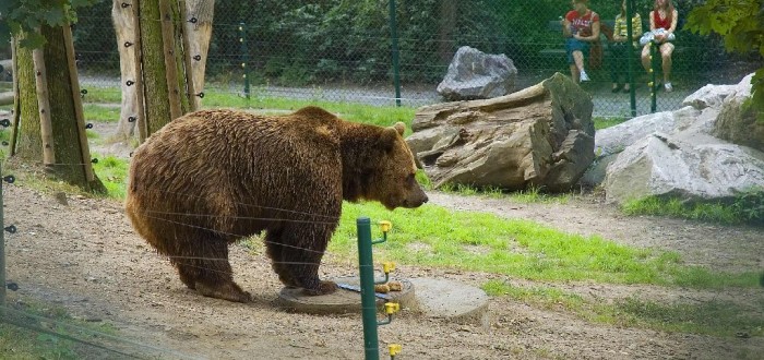 Podle čeho poznáte Kubu, Vojtu a Matěje? Odpověď najdete v textu