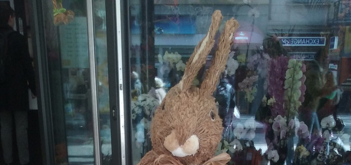 Velikonoční zajíček, symbol Ježíše ve zvířecím světě