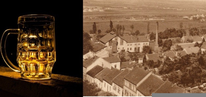 Mělnický pivovar vařil léčivé pivo