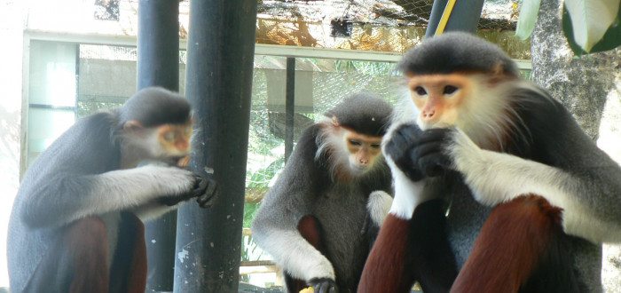 Chlebská zoo dosáhla světového uznání