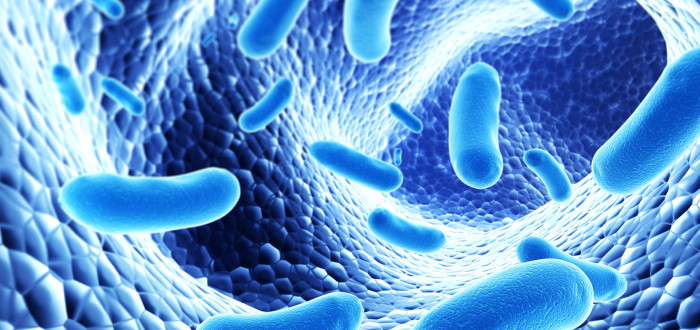 Probiotika, prebiotika a symbiotika, co znamenají?