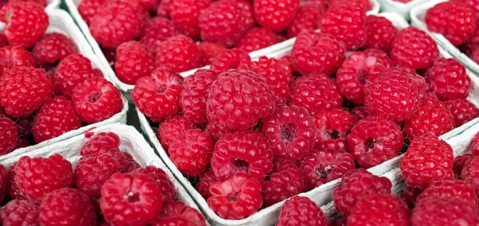 Pomohou maliny opravdu proti rakovině?