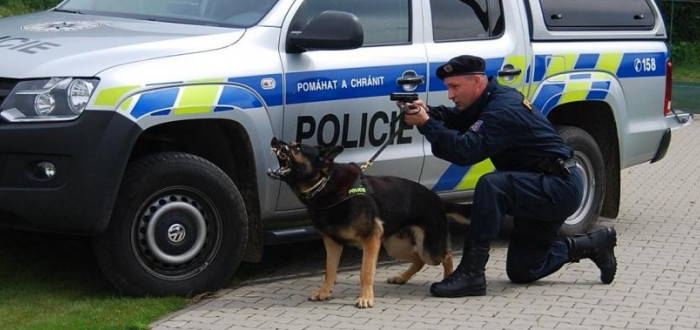 Zátah policie v regionu odhalil nelegálně zaměstnané cizince. Jeden měl dokonce falešný občanský průkaz Rumunska. Policité si v podobných případech berou na pomoc služebního psa