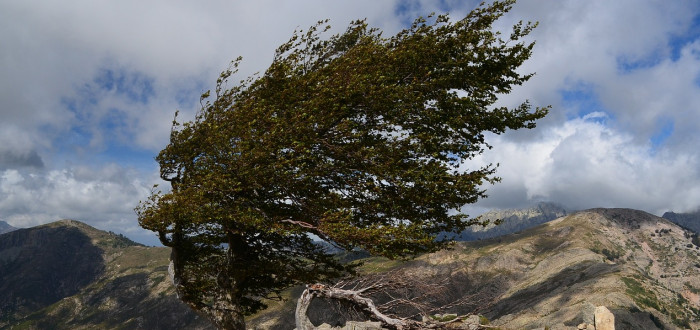 Výsledek obrázku pro vÃtr