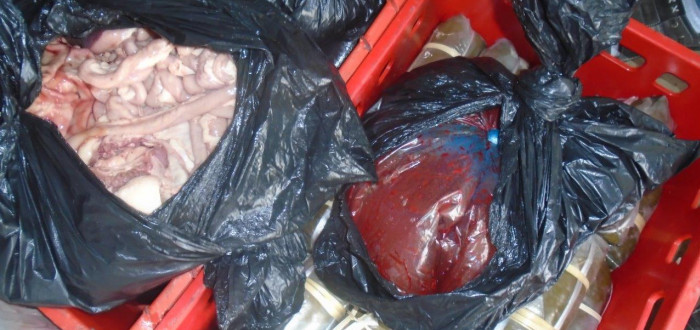 Maso bylo přepravováno při teplotě 24 stupňů Celsia