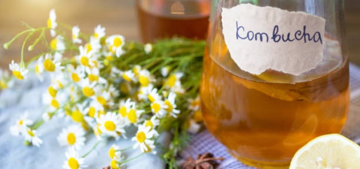 Domácí kombucha