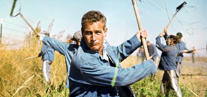Paul Newman zemřel na rakovinu plic v roce 2008