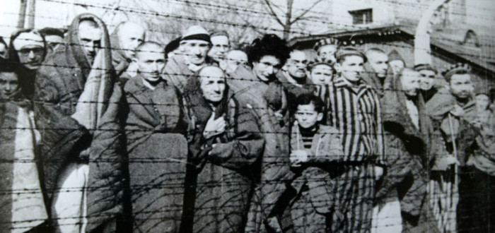Po osvobození Osvětimi dostali přeživší naději na další život