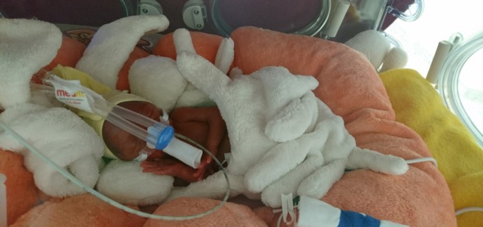 Tento článek není pro slabé povahy. Lily svůj boj bohužel prohrála