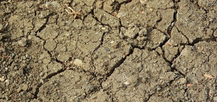 Byť byla letos tuhá zima plná sněhu, trend v přírodě je dlouhodobě ve střední Evropě nepříznivý