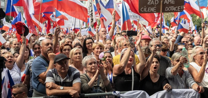 Na demonstracích dezinformátoři "bojují" za svobodu slova