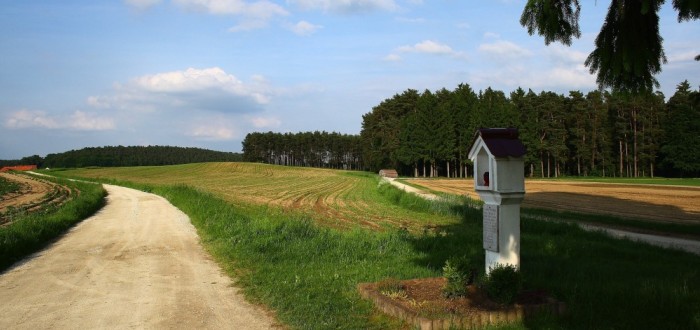 Pohled na cestu k dnes již zaniklému statku, kde se stala hrůzná vražda