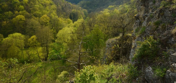 Unikátní nález hlásí čeští archeologové