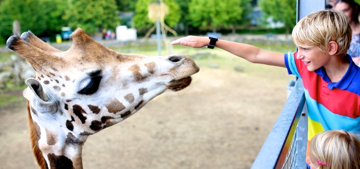 Děti se v ZOO perfektně zabaví