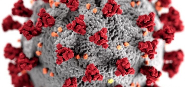 Šíření nakažlivé nemoci je trestný čin – ať už jde o virus HIV, žloutenku, či covid