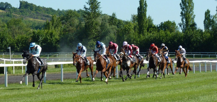 Provoz sázkových kanceláří v České republice je upraven specifickým legislativním rámce, který je sjednocen v zákoně o sázkových kancelářích, jehož cílem je zajištění transparentnosti a ochrany spotřebitelů