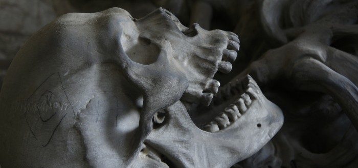 Již Carl Linné postavil člověka pod druhovým označením Homo sapiens do blízkosti moderních lidoopů