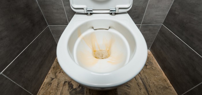 S odstraněním vodního kamene na toaletě vám pomůže mimo jiné i tableta do myčky