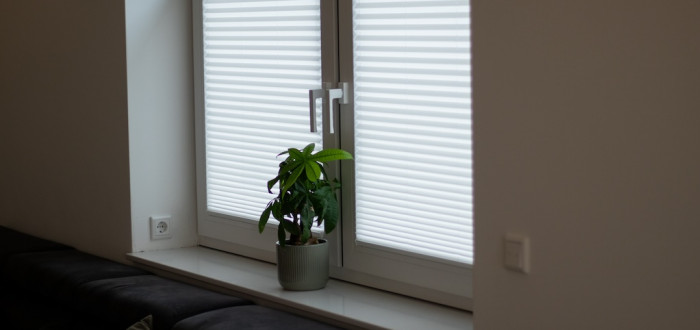 Plisse žaluzie řeší pohledy z ulice bez zbytečného zatmění