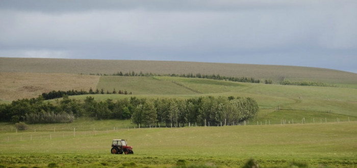 Brzy čeká české farmáře vyhynutí po meči. Zdali tomu bude i po přeslici, to ještě není známo. Jasné je, že dovoz levnějších mimoevropských produktů graduje