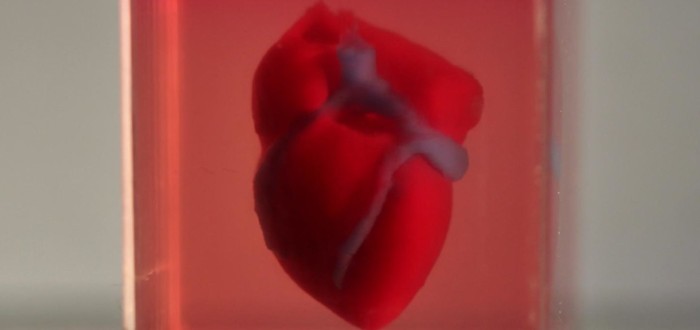 První lidské srdce vytištěné na 3D tiskárně